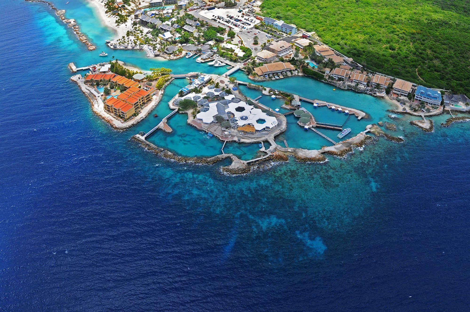 Dolphin Suites & Wellness Curacao วิลเลมสตัด ภายนอก รูปภาพ